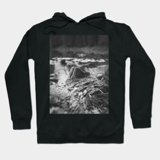 Fallen Tree in the Lake V3 Hoodie